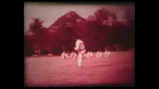 Original ITF Taekwon-Do Inception, 1966 and (Steve Cheah ?) 1972