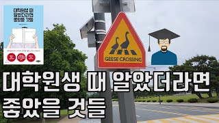 [#5] 책 추천: 대학원생 때 알았더라면 좋았을 것들