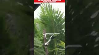 Malakas na hangin dulot ng Typhoon Odette, ramdam na sa Dinagat Islands