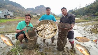 kiểm tra cá Vứt ở ruộng sau hơn 3 tháng, món cá gỏi siêu ngậy | Nhịp Sống Tây Bắc