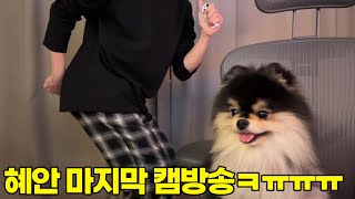 혜안 캠방송 은퇴합니다..