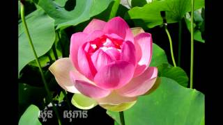 ជីវិតអ្នកម្តាយ