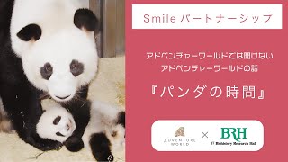 「パンダの時間」-アドベンチャーワールドでは聞けないアドベンチャーワールドの話-