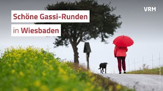 Tipps von einer Dogwalkerin: Zwei Gassi-Routen in Wiesbaden