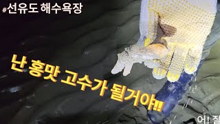 홍맛 고수가 될거야 #다섯시방향 #선유도해수욕장 #해루질 #홍맛 #조개 #개불 #새만금 #낚시 #군산