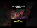 鳥として成立してない鳥キーウィの秘密🤫暴露します🔥