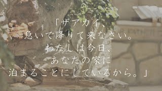 ルカの福音書19章1～10節