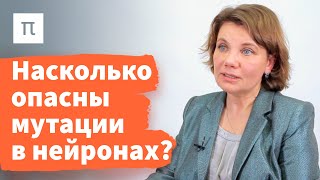 Эпигенетика обучения и мутагенез нейронов — Варвара Дьяконова / ПостНаука