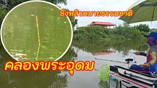 ชิงหลิวหมายธรรมชาติ คลองพระอุดม