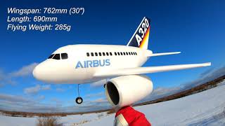 Cartoon Airbus A320 RC Plane flight