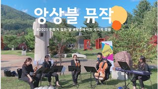 [청춘마이크 시너지 강원] #23 \