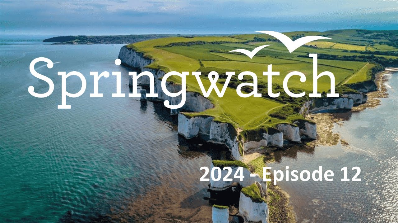 Springwatch 2024 Episode 12 Youtube