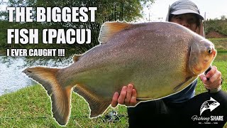 THE BIGGEST FISH (Pacu) I Ever caught!! Awesome Fishing Moment! (Throwback Video) [FishingShare]