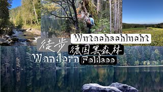 徒步德国黑森林Wutach大峡谷/Feldsee湖/走不寻常的路看不一样的风景/Vlog自驾游记/Interstellar (piano cover)/09.10.2021