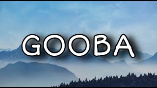 6IX9INE- GOOBA (Lyrics)