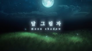 안예은 - 달그림자  / 로엘 COVER