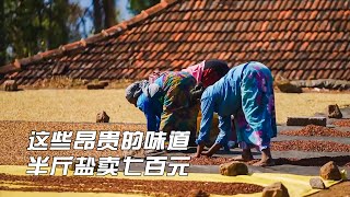 这些昂贵的味道，有的盐不足半斤卖700元，有的采集充满危险