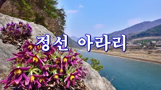 정선 아라리 황선남 p