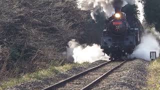 2022.01.29 真岡鉄道 　　　　蒸気機関車C12 66号機　　　　　　多田羅駅　→　市塙駅間撮影