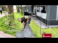 Windscreen 2-sided Grey - Setup (english)