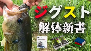 （バス釣り) 霞ヶ浦×ジグストの極意！！