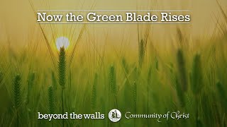 Now the Green Blade Rises (2020) - CCS 482 - The Beyond the Walls Choir