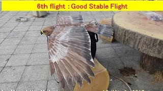 Eagle58iV with Stabilizer : 6th Test Flight : Good Stable Flight.