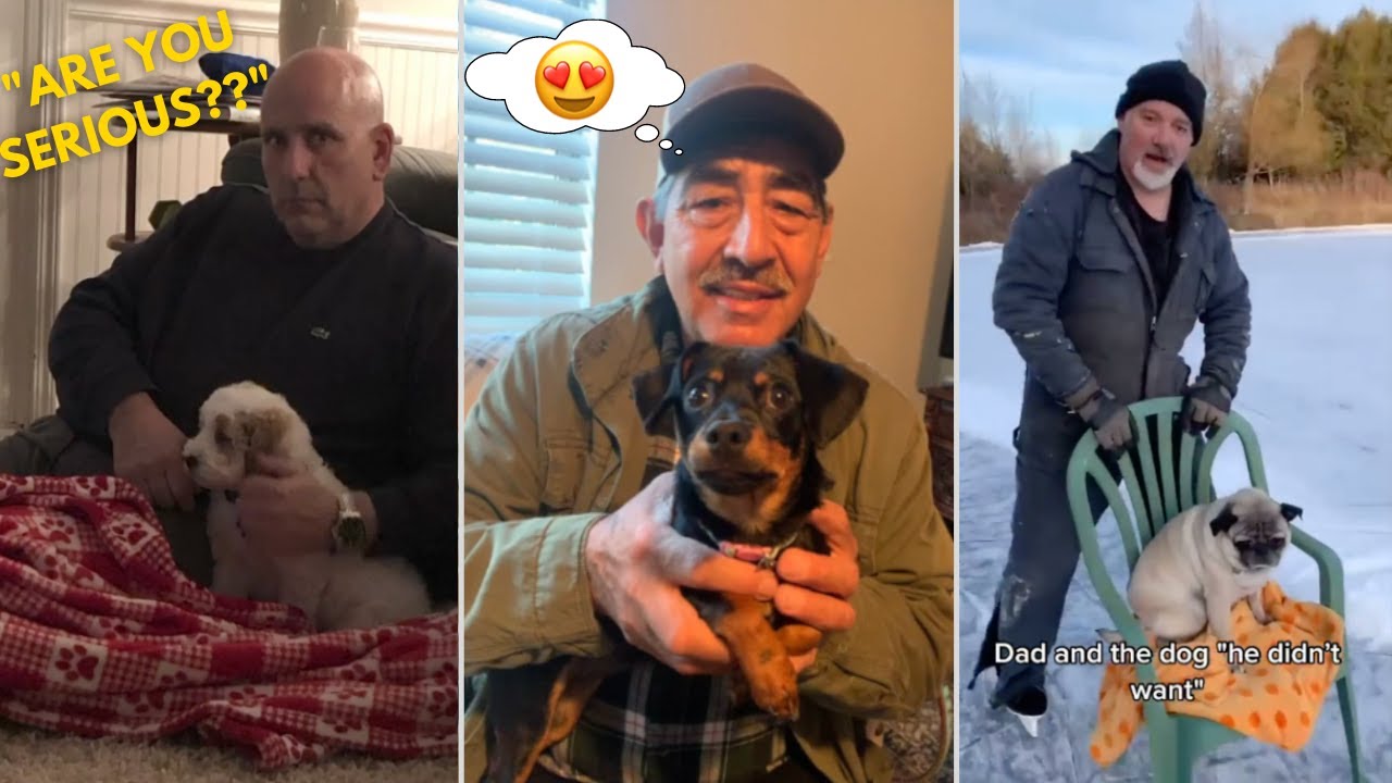 Dads Who Didn't Want Dogs ~ Compilation