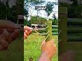 epic bamboo bow explosion 💥🍃 blowing up a coca cola bottle 🏹🎯