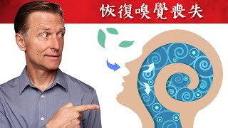 恢復嗅覺、修復神經、修正胰島素,自然療法,柏格醫生 Dr Berg