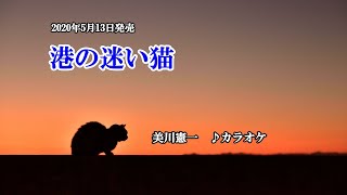 『港の迷い猫』美川憲一　カラオケ　2020年5月13日発売