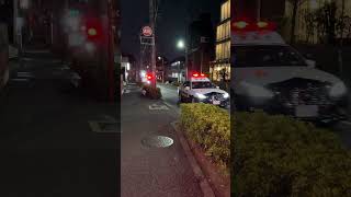 パトカー頑張ってる