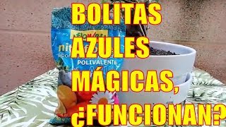 🔵🔵BOLITAS AZULES para las PLANTAS | NITROFOSKA Azul | Fertilizante azul para qué sirve @1