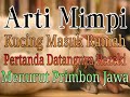 Arti Mimpi Kucing Masuk Rumah Pertanda Datangnya Rezeki Menurut Primbon Jawa