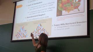 Sample Cause & Effect Presentation