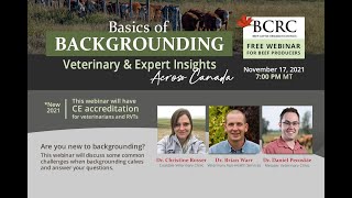 Basics of Backgrounding - Veterinary and Expert Insights from Across Canada