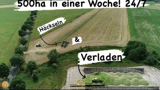 Häckseln & Verladen 500ha in einer Woche! Agrarlohn Müritz im 24/7 Lohnauftrag  Fendt / Claas