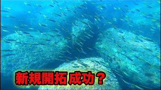 【こっぺ魚突き19】ベタ凪の日に新規開拓‼︎４０オーバーのあの高級魚捕獲【手銛】