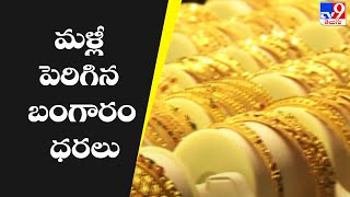 Gold Price : మళ్లీ పెరిగిన బంగారం ధరలు - TV9