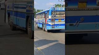 Northern dominance- RATHNA Travels 💜️  #buslover #bus #crazybus #srilanka