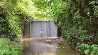 パワースポット探訪隊  “桃川のおたきさま”