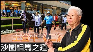 王登平 贏馬錦囊 沙圈相馬 致勝之道 賽馬世界 香港賽馬 香港練馬師