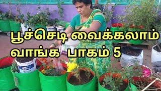 பூச்செடி வைக்கலாம் வாங்க பாகம் 5/ பூந்தோட்டம் அமைப்போம் / Flowers Garden / Thottam Part 5