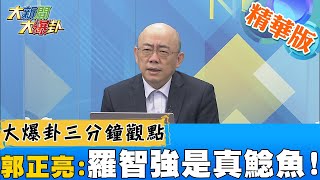 【大新聞大爆卦】羅智強是鯰魚?炒熱國民黨選情?郭正亮曝未來選情趨勢?! @大新聞大爆卦HotNewsTalk  精華版