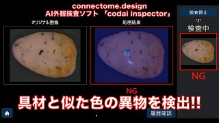 【AI外観検査】codai inspectorでかまぼこを検査！！