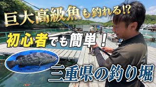 【釣り掘】初心者でも釣れる！？三重県鳥羽市で有名な釣り堀とは！？