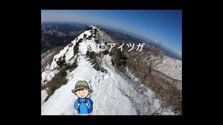 鶏頭山へ行こう！最後にアイツが