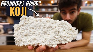 How to Make Rice Koji at Home (Plus Miso Making)