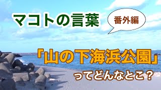 「山の下海浜公園」ってどんなとこ？NO.18（番外編！マコトの言葉）［明石誠］