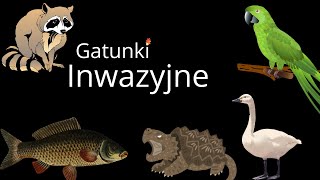 Gatunki Inwazyjne w Polsce